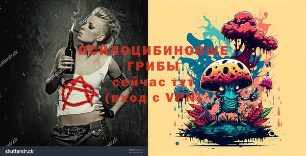 дмт Алексеевка