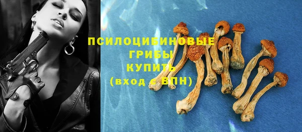 дмт Алексеевка