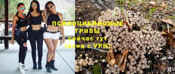 дмт Алексеевка
