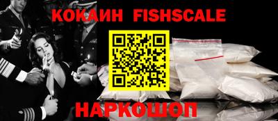 индика Пенза