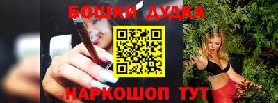 индика Пенза