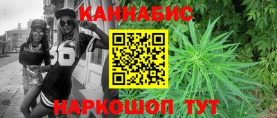 индика Пенза