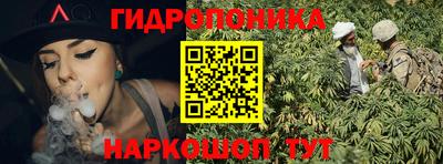 индика Пенза
