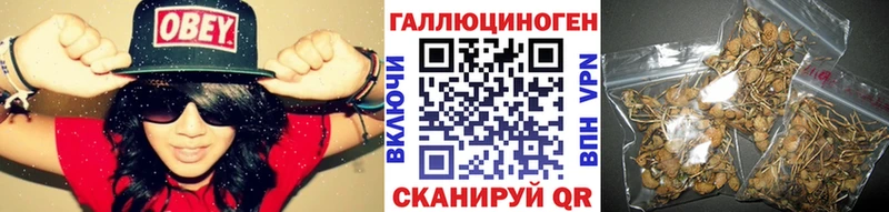 что такое   Омск  Псилоцибиновые грибы мухоморы 