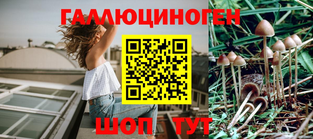 Омск  купить  цена  Вход с VPN  Псилоцибиновые грибы прущие грибы  Галлюциногенные грибы Psilocybine cubensis 